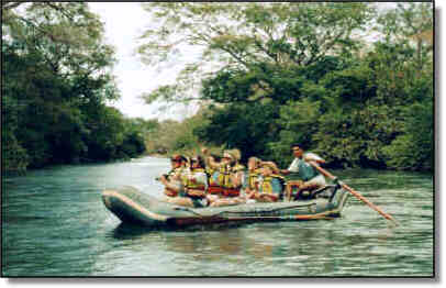 Pajariando en Costa Rica